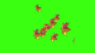 Green screen | Autumn leaves fall | Video background | Animation | Footage | Download | №182