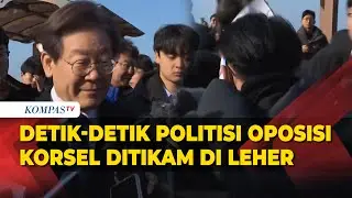 Detik-Detik Politisi Oposisi Korea Selatan Lee Jae-myung Ditikam di Leher saat Kunjungi Busan