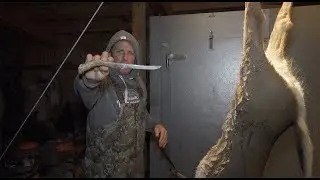 How to Clean and Quarter a Whitetail deer