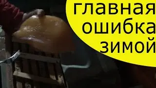 Подкормка пчел зимой - когда и как ? Зимняя подкормка пчёл мёдом.