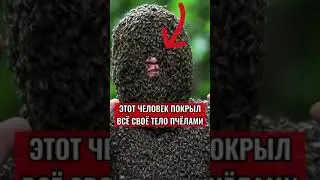 ЭТОТ ЧЕЛОВЕК ПОКРЫЛ ВСЁ СВОЁ ТЕЛО ПЧЁЛАМИ🐝