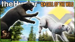 The MYTHICAL MELANISTIC PANTHER & Diamond Grey Mountain Lion Are Down! Call of the wild