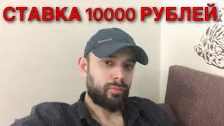 МАРРЕЙ - МЮЛЛЕР. СТАВКА 10000 РУБЛЕЙ. МАРРЕЙ МЮЛЛЕР ПРОГНОЗ.
