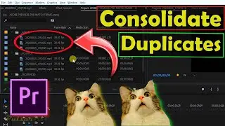 ADOBE PREMIERE PRO 2020 | HOW TO CONSOLIDATE DUPLICATES