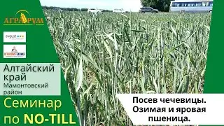ТАКОГО ЕЩЁ НЕ БЫЛО!  ЗАСУХА В АЛТАЙСКОМ КРАЕ. ИТОГИ СЕМИНАРА ПО NO-TILL