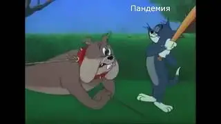 Коронабесие.