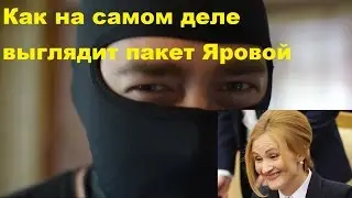 Как на самом деле выглядит пакет Яровой! ШОК!