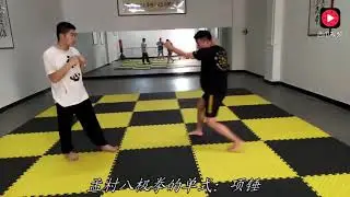 Baji Quan fight applications and sanda