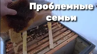 Смотрим проблемные семьи