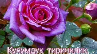 Кутман кеч ! Кечинер эс алуу менен бирге конулдуу болсун.❤