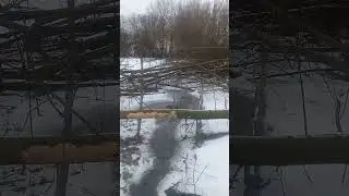Работа бобра