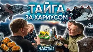 БОЛЬШАЯ РЫБАЛКА НА ХАРИУСА//ЕДИМ ИКРУ ЛОЖКАМИ//ЖИЗНЬ В ПАЛАТКАХ В ТАЙГЕ//2000 КМ С ПРИКЛЮЧЕНИЯМИ.