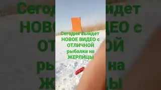 щука на жерлицы 2023