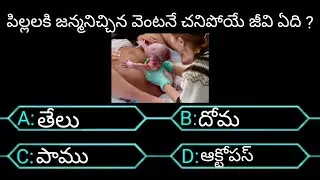 telugu interesting questions / telugu gk questions / unknown facts in telugu / 18+ questions / #gk