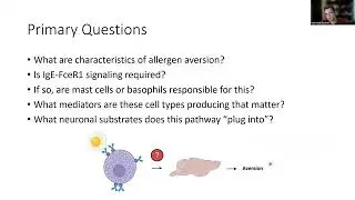 [Nathaniel D. Bachtel] Immune sensing of food allergens promotes avoidance behavior