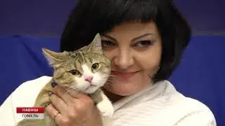 Акция 