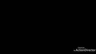 Первое знакомство с овцами и проверка щенков бордер колли на пастуший инстинкт