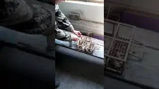ловля певчих птиц. Очередной улов