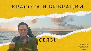 Красота и вибрации. Связь я и мир | Отрывок из семинара Возможно Всё