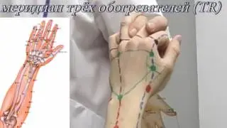 Секреты китайской медицины (27). Точка Чжун-чжу. Меридиан трёх обогревателей TR3.