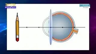 9-класс | Физика | Көз, анда жүрүүчү оптикалык кубулуштар