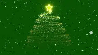 BG Background Loop Green screen Star Snow Xmas Tree gold