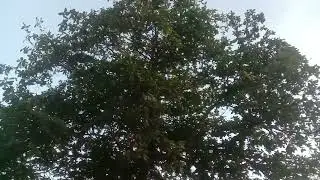 Ang sarap lang nila pakinggan