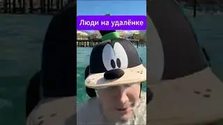 #шадоукек #shadowkekw #твич #twitch