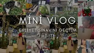 MİNİ VLOG | EHLİYET SINAVINI GEÇTİM Mİ !?!