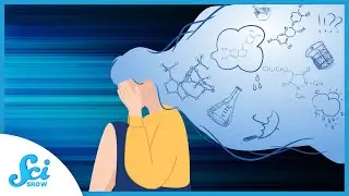 Your Brain and Stress | Compilation