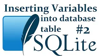 Inserting variables to database table - SQLite3 with Python 3 part 2