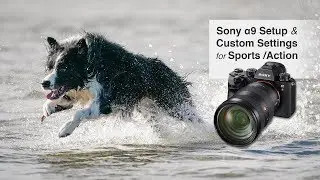 Sony A9 Setup and Custom Settings for Sports and Action