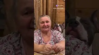 Любимый пес бабушки куртукова наливное Шарады крид мот 9 мая 2025 80 лет холла homay Чеботина Каблук
