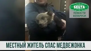 В лесу около деревни Жестиное местный житель спас медвежонка