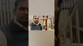 Horse racing stable tour 