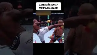 Его невожможно остановить... Перейра vs Раунтри 