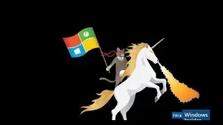 Windows 11 BETA Insider preview and no DEV channel build this week