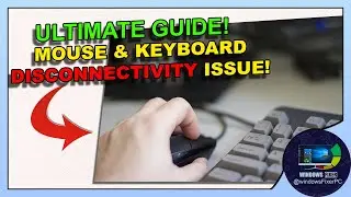 Ultimate Guide to Fix Mouse and Keyboard Disconnectivity Issues (2024)