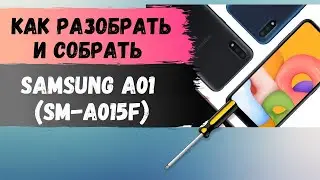 Как разобрать Samsung A01 (SM-A015F). Disassemble Samsung A01