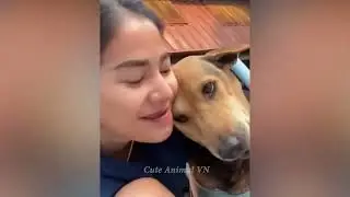 New Funny Animal Videos 2023 😍 Funniest Dogs and Cats 🐱🐶 4 Funny Animal Videos Cutest Animals 2023😍🤣