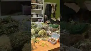 Just Another Day In the Office