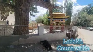 Ladakh countryside, Ladakh