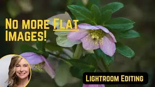 No More Flat Images|How to take a flat image and make it pop with four simple tools using Lightroom.