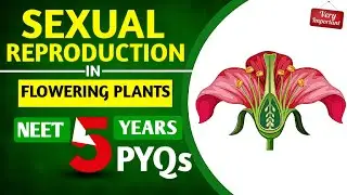 30 Most Repeated PYQs🔥| Reproduction In Flowering Plant | Class 12 Biology #neet2025