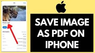 How To Save Image As PDF On iPhone (EASY TUTORIAL!)