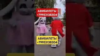 АВИБИЛЕТЫ +79953138304 