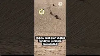 Haqiqiy Dust Qiyin Vaqtda Har doim yonigda Mashina Dirifda Agdarildi#automobile #Shorts