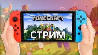 Чилим в Minecraft на Nintendo Switch