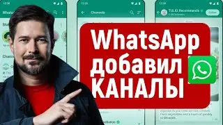 WhatsApp добавил Каналы, особенности и сравнение с Телеграм