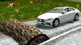 Cars vs Massive & Weird Speed Bumps - BeamNG Drive